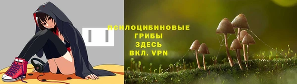 синтетический гашиш Алексин