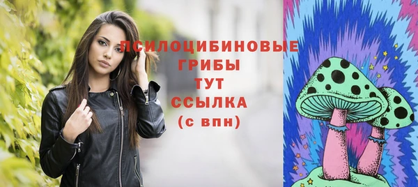 синтетический гашиш Алексин