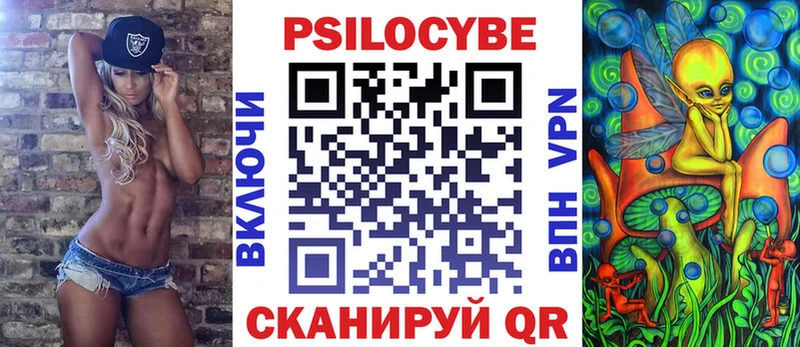 как найти наркотики  Железногорск-Илимский  Псилоцибиновые грибы ЛСД 