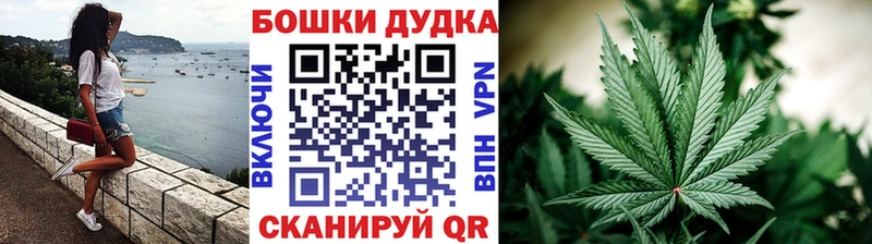 Бошки марихуана планчик  цена наркотик  Железногорск-Илимский 